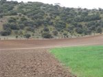 290309mtb 012.jpg