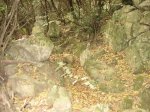 IMG_0690.jpg