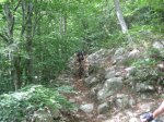 IMG_0682.jpg
