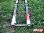 pbpic1362405.jpg