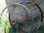 DSC08637.JPG