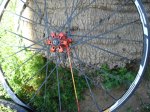 DSC08642.JPG