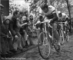 flanders-merckxcobbles.jpg