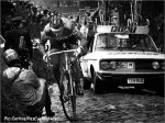 flanders77-merckxkwar[1].jpg
