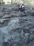 DSC08856.jpg