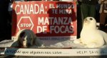 Nueva imagenSSS_800x439.jpg