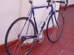 bici rossini 006.jpg