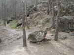 DSC08914.jpg