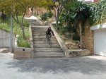 DSC08927.jpg