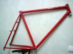 cuadro Nortel-le Ritchey.JPG
