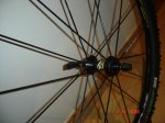 rodes i sellÃ³ 035.jpg