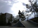 DSC00317.jpg