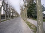Foto1.JPG