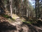 Foto17.JPG