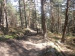 Foto18.JPG
