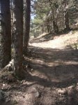 Foto19.JPG