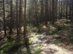 Foto20.JPG