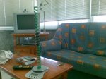 GREEN TI SPRING .jpg