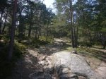 Foto23.JPG