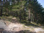 Foto24.JPG