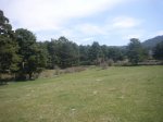 Foto29.JPG