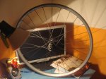 DSC01200.JPG