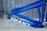 giant014.jpg