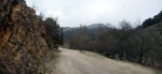 cazorla11_1024x475.jpg