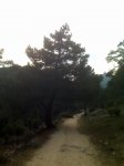 IMG00168.jpg
