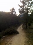 IMG00169.jpg