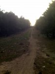 IMG00178.jpg
