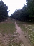 IMG00179.jpg