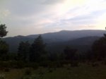 IMG00180.jpg