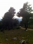 IMG00181.jpg