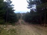 IMG00182.jpg