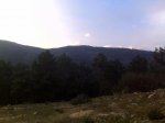 IMG00186.jpg