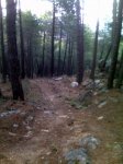 IMG00187.jpg