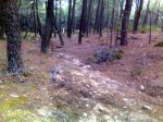 IMG00190.jpg