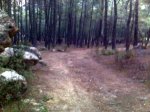 IMG00192.jpg