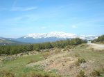 DSC01337.jpg