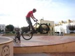 Bicis (356).JPG