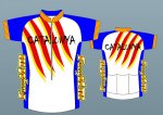 CATmaillot copia.jpg