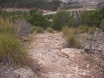 SANY0004.jpg