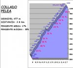 213844.jpg
