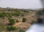SANY0021.jpg
