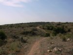 SANY0028.jpg