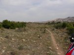SANY0029.jpg