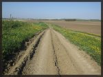 La Asomada direccion Chiclana.jpg