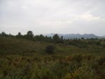 SV106357.jpg