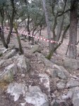 DSC06278.JPG
